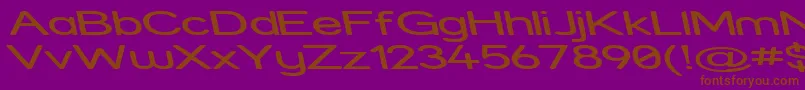 StreetExpandedReverseItalic Font – Brown Fonts on Purple Background