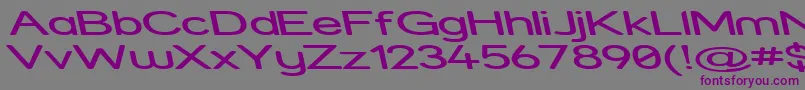 StreetExpandedReverseItalic Font – Purple Fonts on Gray Background