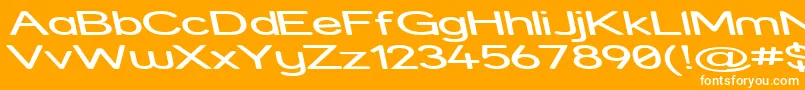 StreetExpandedReverseItalic Font – White Fonts on Orange Background