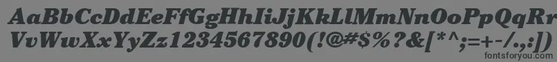 ItcCheltenhamLtUltraItalic-fontti – mustat fontit harmaalla taustalla
