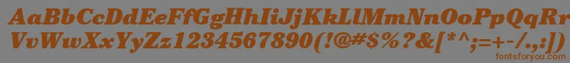 ItcCheltenhamLtUltraItalic Font – Brown Fonts on Gray Background