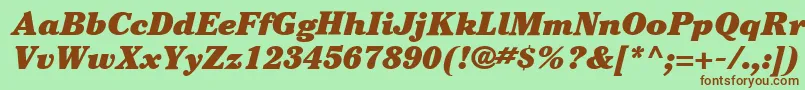 ItcCheltenhamLtUltraItalic Font – Brown Fonts on Green Background