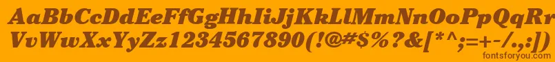 ItcCheltenhamLtUltraItalic Font – Brown Fonts on Orange Background