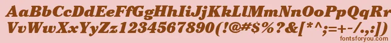 ItcCheltenhamLtUltraItalic Font – Brown Fonts on Pink Background