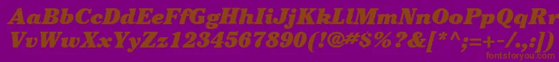 ItcCheltenhamLtUltraItalic Font – Brown Fonts on Purple Background