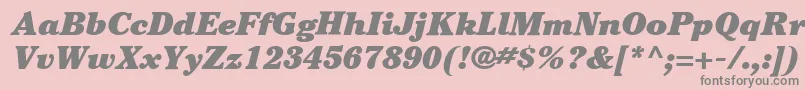 ItcCheltenhamLtUltraItalic Font – Gray Fonts on Pink Background