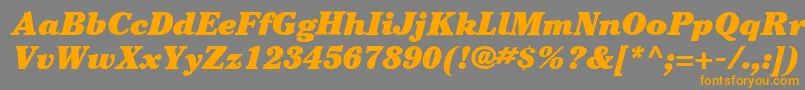 More about ItcCheltenhamLtUltraItalic Font ItcCheltenhamLtUltraItalic Font – Orange Fonts on Gray Background