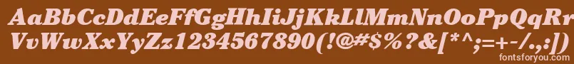 ItcCheltenhamLtUltraItalic Font – Pink Fonts on Brown Background