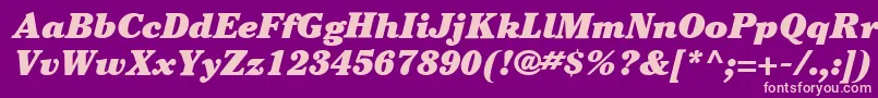 ItcCheltenhamLtUltraItalic Font – Pink Fonts on Purple Background