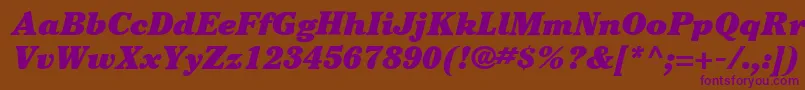 ItcCheltenhamLtUltraItalic Font – Purple Fonts on Brown Background