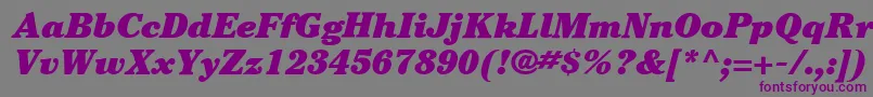 ItcCheltenhamLtUltraItalic Font – Purple Fonts on Gray Background