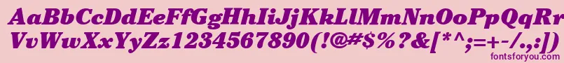 ItcCheltenhamLtUltraItalic Font – Purple Fonts on Pink Background
