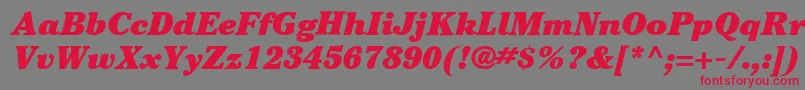 ItcCheltenhamLtUltraItalic Font – Red Fonts on Gray Background