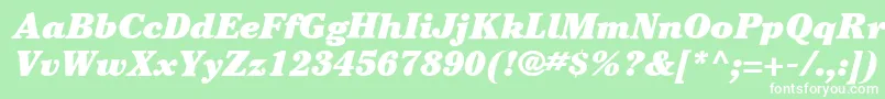 ItcCheltenhamLtUltraItalic Font – White Fonts on Green Background