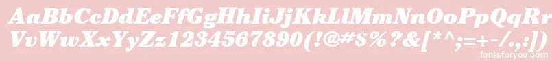 ItcCheltenhamLtUltraItalic Font – White Fonts on Pink Background