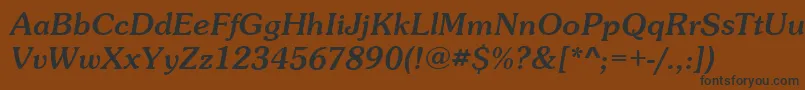 SunsetItalic Font – Black Fonts on Brown Background