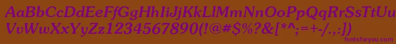 SunsetItalic Font – Purple Fonts on Brown Background