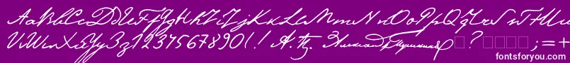 Pushkinc Font – White Fonts on Purple Background