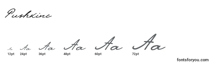 Pushkinc Font Sizes