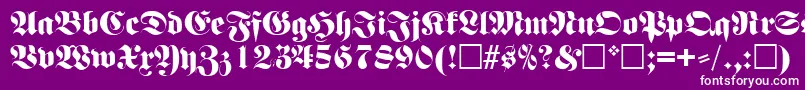 FettefrakturRegular Font – White Fonts on Purple Background