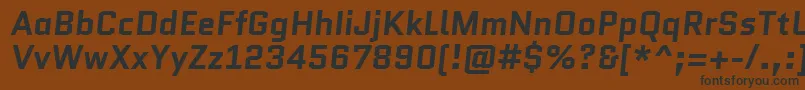 Czcionka QuanticoBolditalic – czarne czcionki na brązowym tle