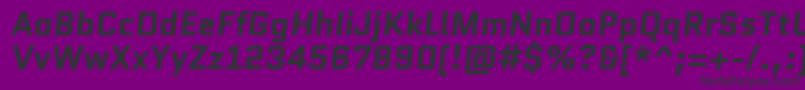 QuanticoBolditalic Font – Black Fonts on Purple Background