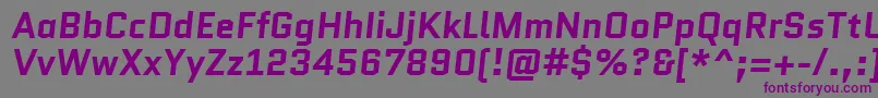 Czcionka QuanticoBolditalic – fioletowe czcionki na szarym tle