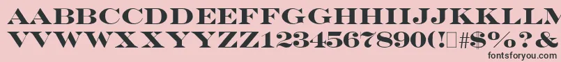 EngraversBold Font – Black Fonts on Pink Background