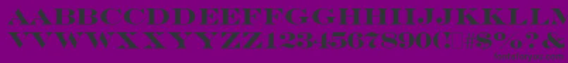 EngraversBold Font – Black Fonts on Purple Background