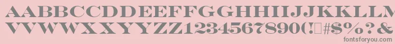 EngraversBold Font – Gray Fonts on Pink Background