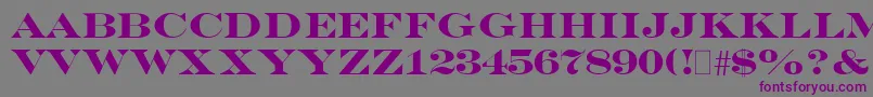 EngraversBold Font – Purple Fonts on Gray Background