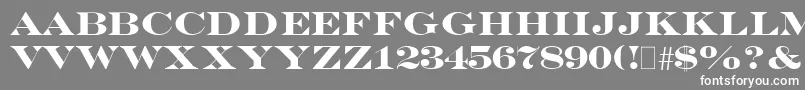 EngraversBold Font – White Fonts on Gray Background