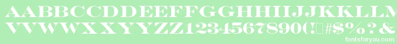 EngraversBold Font – White Fonts on Green Background