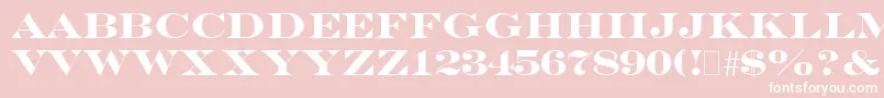 EngraversBold Font – White Fonts on Pink Background