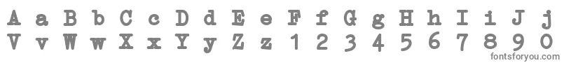 ErikaTypeBi Font – Gray Fonts on White Background