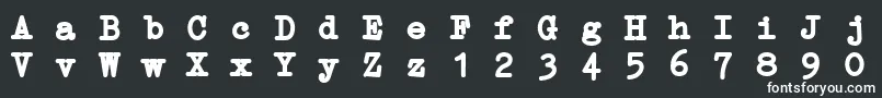 Шрифт ErikaTypeBi – белые шрифты