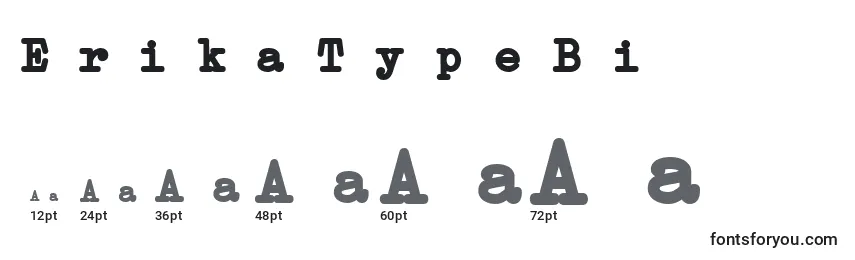 Размеры шрифта ErikaTypeBi
