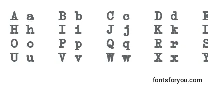 ErikaTypeBi Font