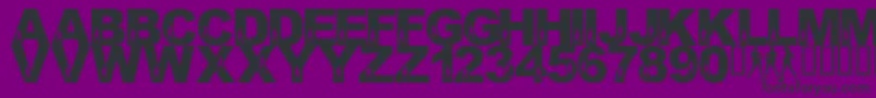 LmsCharliesOtherAngels Font – Black Fonts on Purple Background