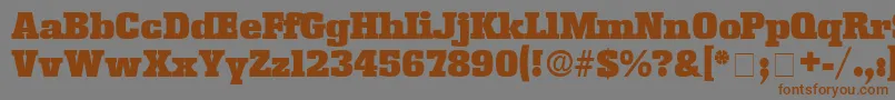 More about KamanDisplaySsi Font KamanDisplaySsi Font – Brown Fonts on Gray Background
