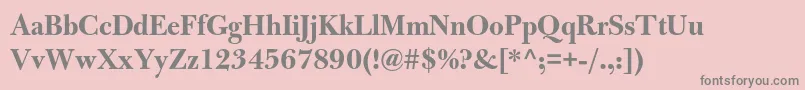 BulmermtstdBolddisplay Font – Gray Fonts on Pink Background