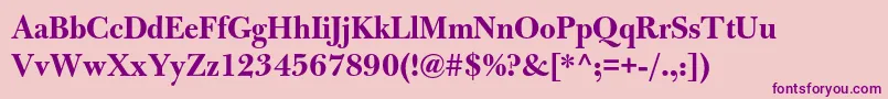 BulmermtstdBolddisplay Font – Purple Fonts on Pink Background