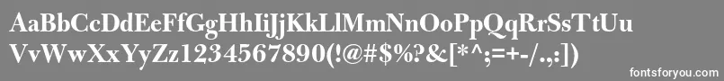 BulmermtstdBolddisplay Font – White Fonts on Gray Background