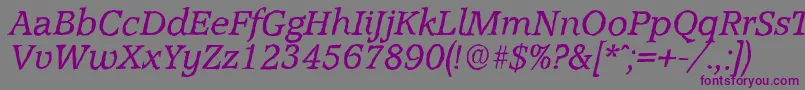 AccoladeantiqueItalic Font – Purple Fonts on Gray Background