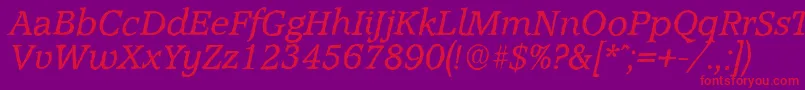 AccoladeantiqueItalic Font – Red Fonts on Purple Background