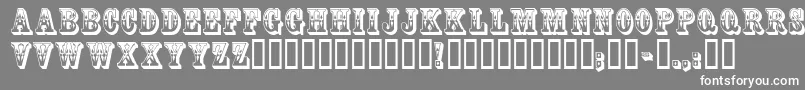 CoffeetinInitials Font – White Fonts on Gray Background