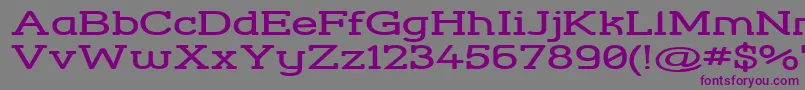 Шрифт StreetCornerSlabExtend – фиолетовые шрифты на сером фоне