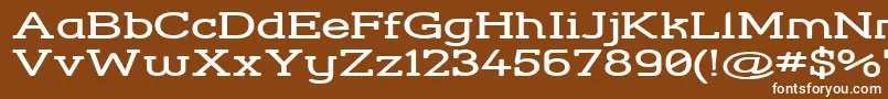 StreetCornerSlabExtend-fontti – valkoiset fontit ruskealla taustalla