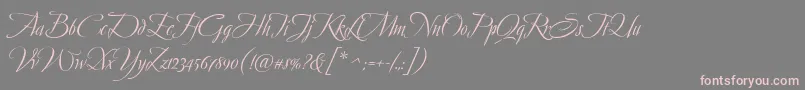 AvalonMedium Font – Pink Fonts on Gray Background