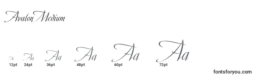 AvalonMedium Font Sizes